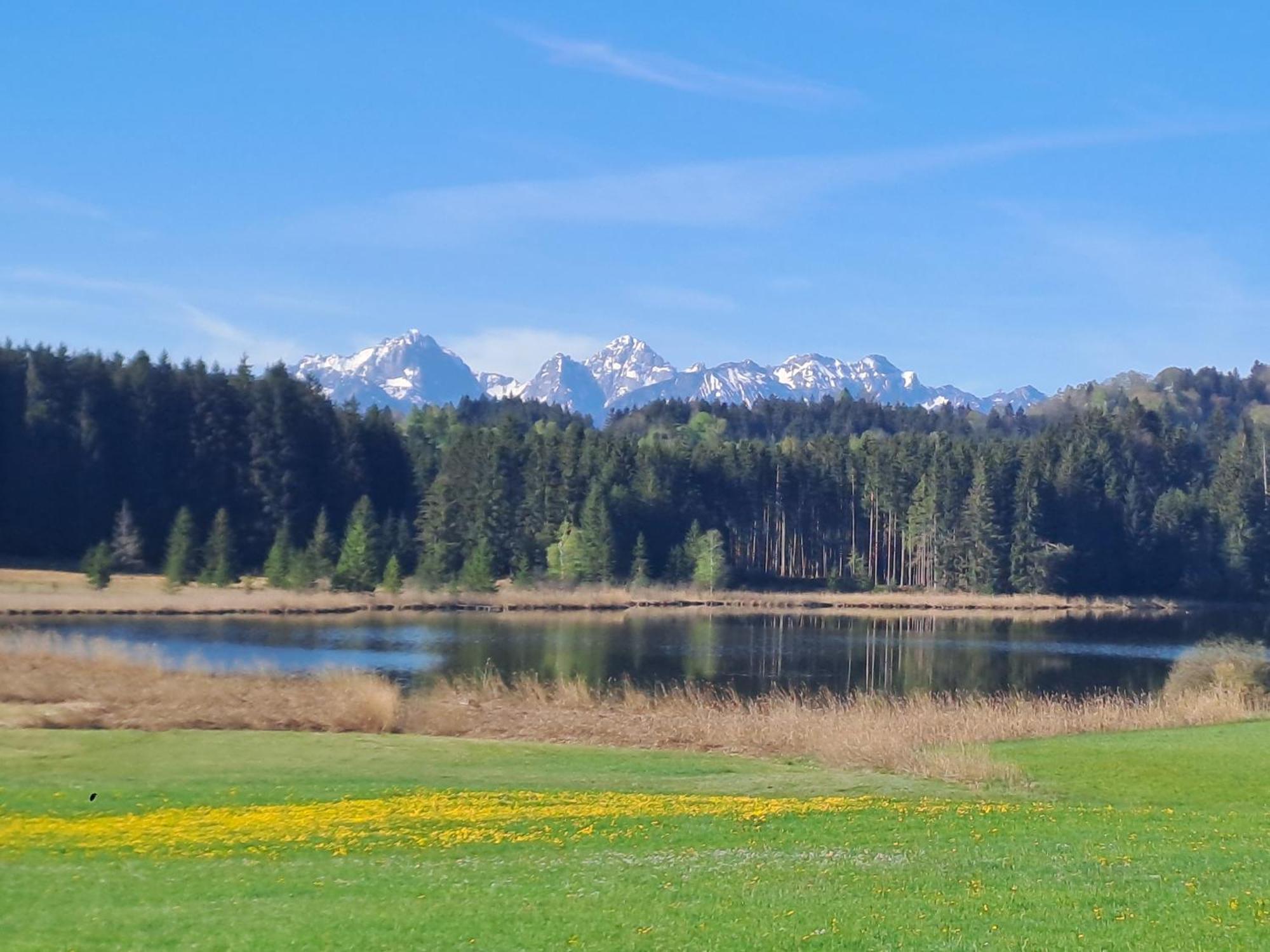Allgaeu-Genuss Halblech Esterno foto